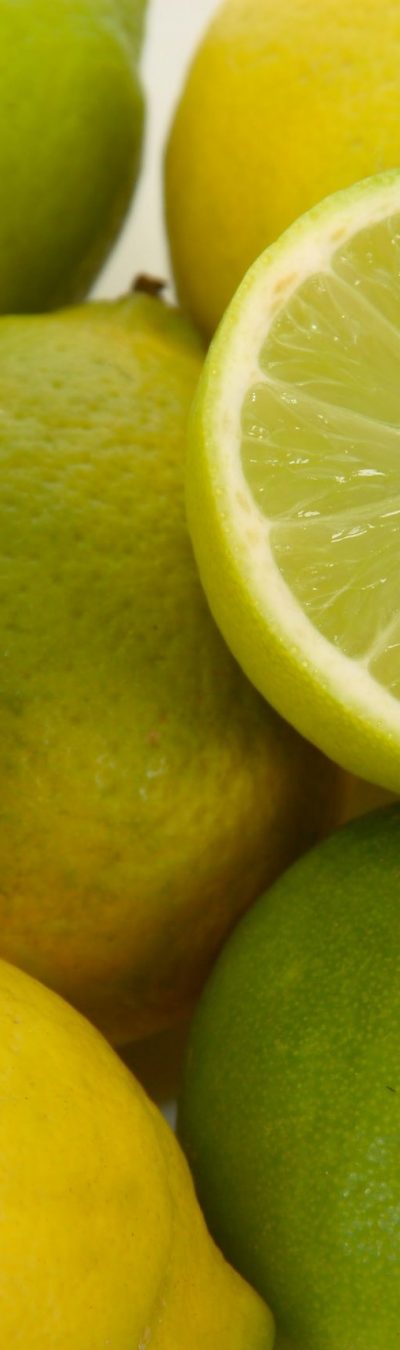 limones Húmicos y derivados Archena Murcia nutrición vegetal fertilizantes para agricultura enmiendas abonos nutrición vegetal ecológicos ecológica